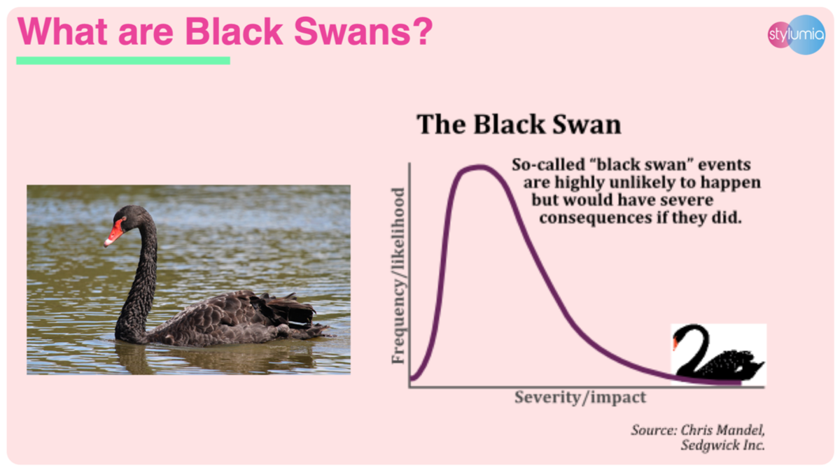 black_swan.png